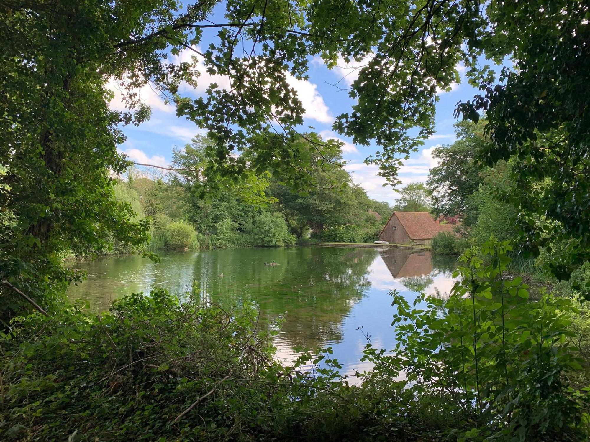 Moorhen Cottage Hollingbourne Eksteriør bilde